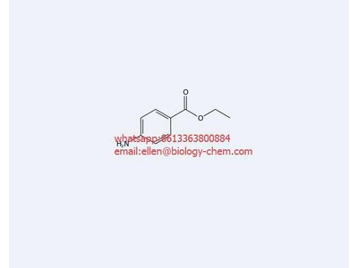 Benzocaine CAS :94-09-7 Manufacturer Sot