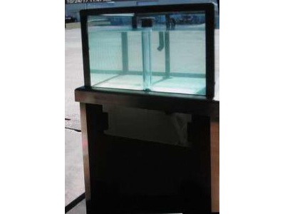 New Lobster Tank