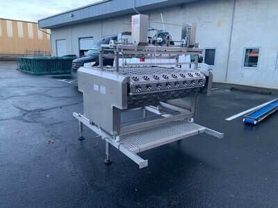 PND Fruit Processing Automatic Feeder