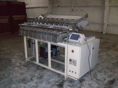 A & B Packing Machine Blueberry Packing