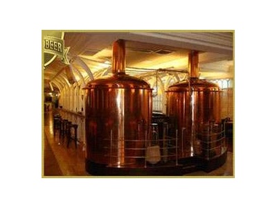 Microbrewery, minibrewery + technology